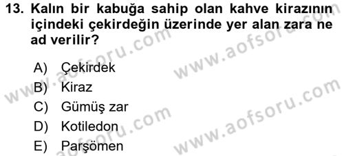 İçecek Bilgisi Dersi 2016 - 2017 Yılı (Vize) Ara Sınav Soruları 13. Soru