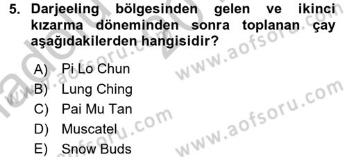 İçecek Bilgisi Dersi 2016 - 2017 Yılı (Vize) Ara Sınav Soruları 5. Soru