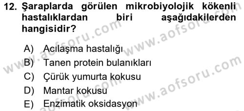 İçecek Bilgisi Dersi 2016 - 2017 Yılı (Final) Dönem Sonu Sınav Soruları 12. Soru