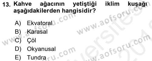 İçecek Bilgisi Dersi Ara Sınavı Deneme Sınav Soruları 13. Soru