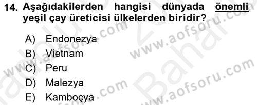 İçecek Bilgisi Dersi Ara Sınavı Deneme Sınav Soruları 14. Soru