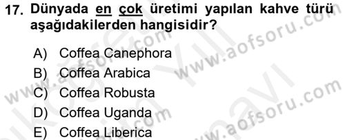 İçecek Bilgisi Dersi Ara Sınavı Deneme Sınav Soruları 17. Soru