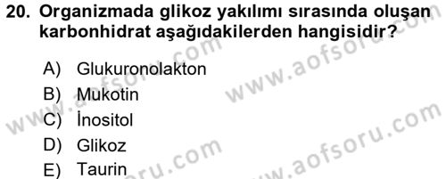 İçecek Bilgisi Dersi Ara Sınavı Deneme Sınav Soruları 20. Soru