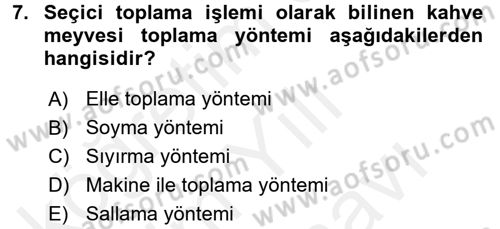 İçecek Bilgisi Dersi Ara Sınavı Deneme Sınav Soruları 7. Soru