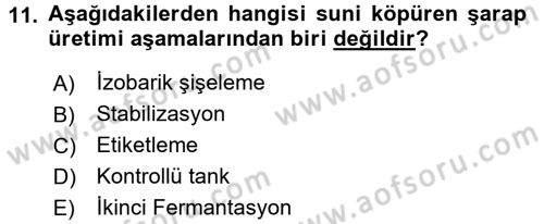İçecek Bilgisi Dersi 2017 - 2018 Yılı (Final) Dönem Sonu Sınav Soruları 11. Soru