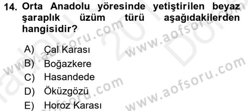 İçecek Bilgisi Dersi 2017 - 2018 Yılı (Final) Dönem Sonu Sınav Soruları 14. Soru