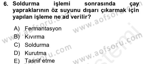 İçecek Bilgisi Dersi 2017 - 2018 Yılı (Final) Dönem Sonu Sınav Soruları 6. Soru