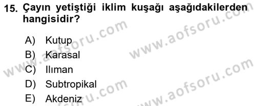 İçecek Bilgisi Dersi 2018 - 2019 Yılı (Vize) Ara Sınav Soruları 15. Soru