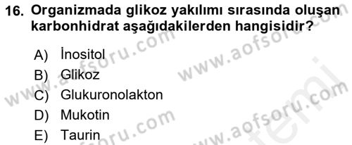 İçecek Bilgisi Dersi 2018 - 2019 Yılı (Vize) Ara Sınav Soruları 16. Soru
