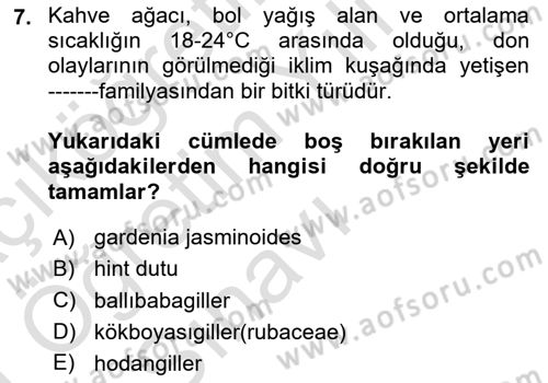 İçecek Bilgisi Dersi 2020 - 2021 Yılı Yaz Okulu Sınav Soruları 7. Soru