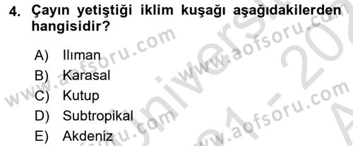 İçecek Bilgisi Dersi 2021 - 2022 Yılı (Vize) Ara Sınav Soruları 4. Soru