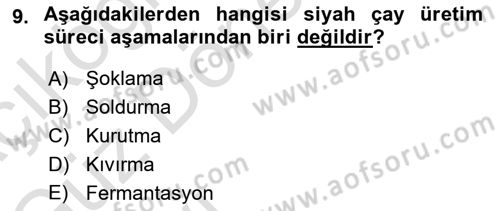 İçecek Bilgisi Dersi 2021 - 2022 Yılı (Vize) Ara Sınav Soruları 9. Soru