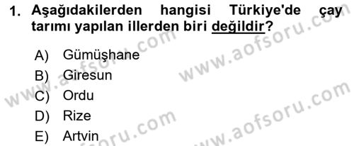 İçecek Bilgisi Dersi 2021 - 2022 Yılı (Final) Dönem Sonu Sınav Soruları 1. Soru