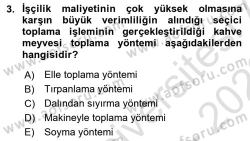 İçecek Bilgisi Dersi 2021 - 2022 Yılı (Final) Dönem Sonu Sınav Soruları 3. Soru