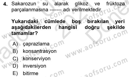 İçecek Bilgisi Dersi 2021 - 2022 Yılı (Final) Dönem Sonu Sınav Soruları 4. Soru