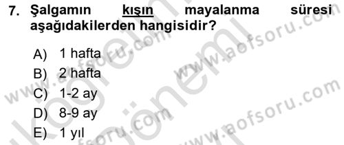 İçecek Bilgisi Dersi 2021 - 2022 Yılı (Final) Dönem Sonu Sınav Soruları 7. Soru