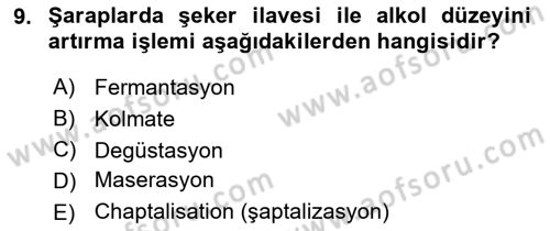 İçecek Bilgisi Dersi 2021 - 2022 Yılı (Final) Dönem Sonu Sınav Soruları 9. Soru