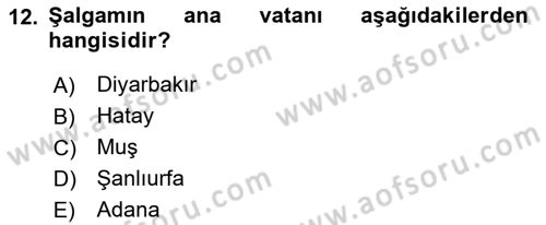 İçecek Bilgisi Dersi 2021 - 2022 Yılı Yaz Okulu Sınav Soruları 12. Soru
