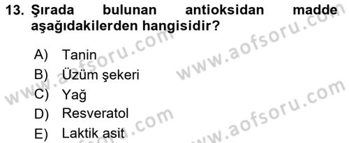 İçecek Bilgisi Dersi 2021 - 2022 Yılı Yaz Okulu Sınav Soruları 13. Soru