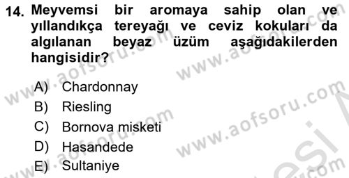 İçecek Bilgisi Dersi 2021 - 2022 Yılı Yaz Okulu Sınav Soruları 14. Soru