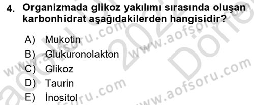 İçecek Bilgisi Dersi 2022 - 2023 Yılı (Final) Dönem Sonu Sınav Soruları 4. Soru