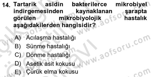 İçecek Bilgisi Dersi 2022 - 2023 Yılı Yaz Okulu Sınav Soruları 14. Soru
