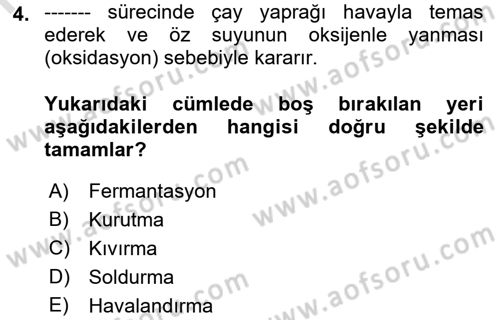 İçecek Bilgisi Dersi 2022 - 2023 Yılı Yaz Okulu Sınav Soruları 4. Soru