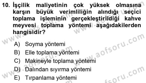 İçecek Bilgisi Dersi 2023 - 2024 Yılı (Vize) Ara Sınav Soruları 10. Soru