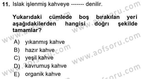 İçecek Bilgisi Dersi 2023 - 2024 Yılı (Vize) Ara Sınav Soruları 11. Soru