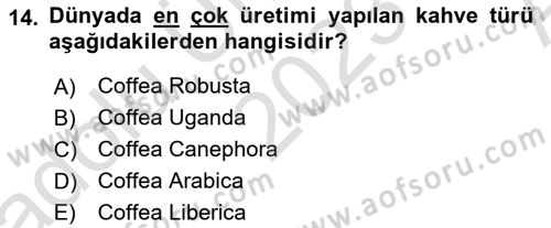 İçecek Bilgisi Dersi 2023 - 2024 Yılı (Vize) Ara Sınav Soruları 14. Soru