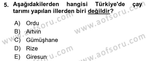 İçecek Bilgisi Dersi 2023 - 2024 Yılı (Vize) Ara Sınav Soruları 5. Soru