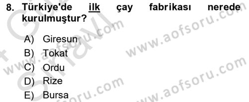 İçecek Bilgisi Dersi 2023 - 2024 Yılı (Vize) Ara Sınav Soruları 8. Soru