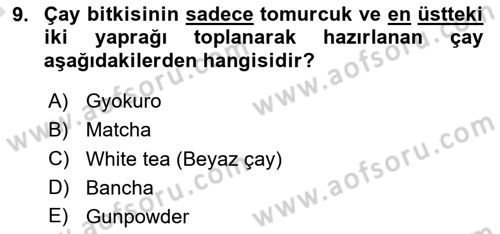 İçecek Bilgisi Dersi 2023 - 2024 Yılı (Vize) Ara Sınav Soruları 9. Soru