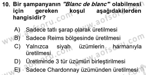 İçecek Bilgisi Dersi 2023 - 2024 Yılı (Final) Dönem Sonu Sınav Soruları 10. Soru