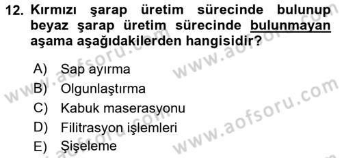 İçecek Bilgisi Dersi 2023 - 2024 Yılı (Final) Dönem Sonu Sınav Soruları 12. Soru