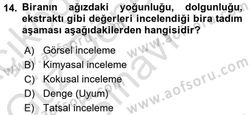 İçecek Bilgisi Dersi 2023 - 2024 Yılı (Final) Dönem Sonu Sınav Soruları 14. Soru