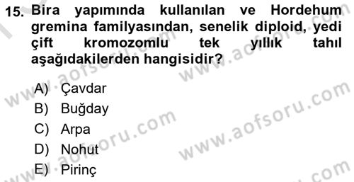 İçecek Bilgisi Dersi 2023 - 2024 Yılı (Final) Dönem Sonu Sınav Soruları 15. Soru