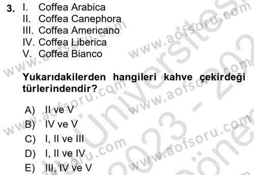 İçecek Bilgisi Dersi 2023 - 2024 Yılı (Final) Dönem Sonu Sınav Soruları 3. Soru