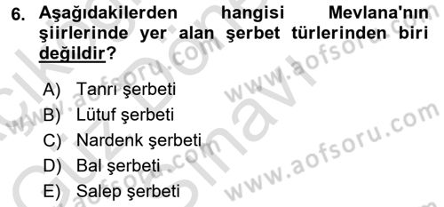 İçecek Bilgisi Dersi 2023 - 2024 Yılı (Final) Dönem Sonu Sınav Soruları 6. Soru