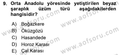 İçecek Bilgisi Dersi 2023 - 2024 Yılı (Final) Dönem Sonu Sınav Soruları 9. Soru