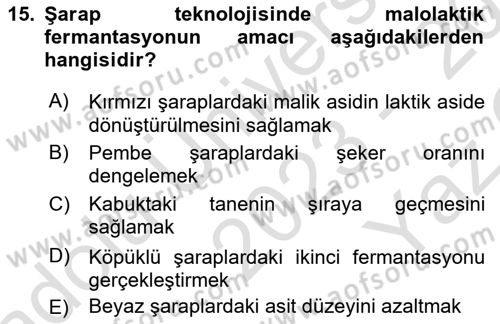 İçecek Bilgisi Dersi 2023 - 2024 Yılı Yaz Okulu Sınav Soruları 15. Soru