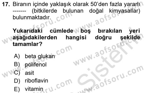 İçecek Bilgisi Dersi 2023 - 2024 Yılı Yaz Okulu Sınav Soruları 17. Soru