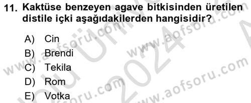 İçecek Bilgisi Dersi 2024 - 2025 Yılı (Vize) Ara Sınav Soruları 11. Soru