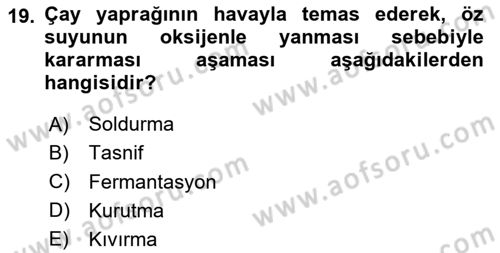 İçecek Bilgisi Dersi 2024 - 2025 Yılı (Vize) Ara Sınav Soruları 19. Soru