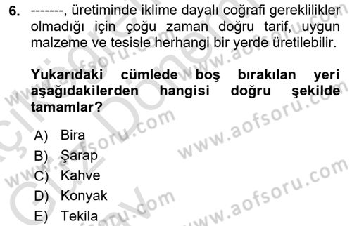 İçecek Bilgisi Dersi 2024 - 2025 Yılı (Vize) Ara Sınav Soruları 6. Soru