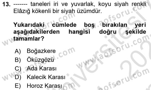 İçecek Bilgisi Dersi 2024 - 2025 Yılı (Final) Dönem Sonu Sınav Soruları 13. Soru