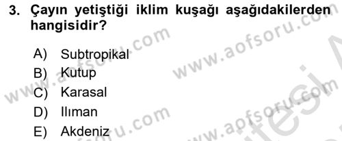 İçecek Bilgisi Dersi 2024 - 2025 Yılı (Final) Dönem Sonu Sınav Soruları 3. Soru