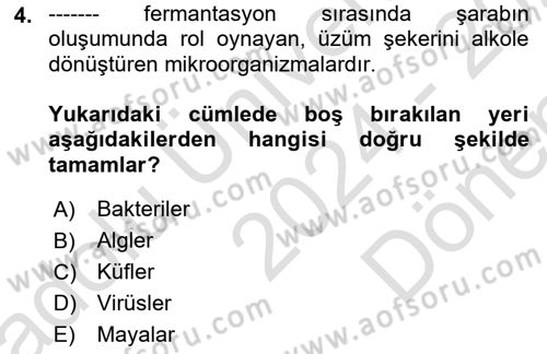 İçecek Bilgisi Dersi 2024 - 2025 Yılı (Final) Dönem Sonu Sınav Soruları 4. Soru