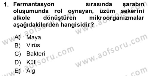 İçecek Bilgisi Dersi 2024 - 2025 Yılı Yaz Okulu Sınav Soruları 1. Soru
