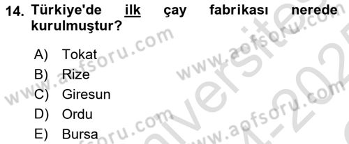 İçecek Bilgisi Dersi 2024 - 2025 Yılı Yaz Okulu Sınav Soruları 14. Soru